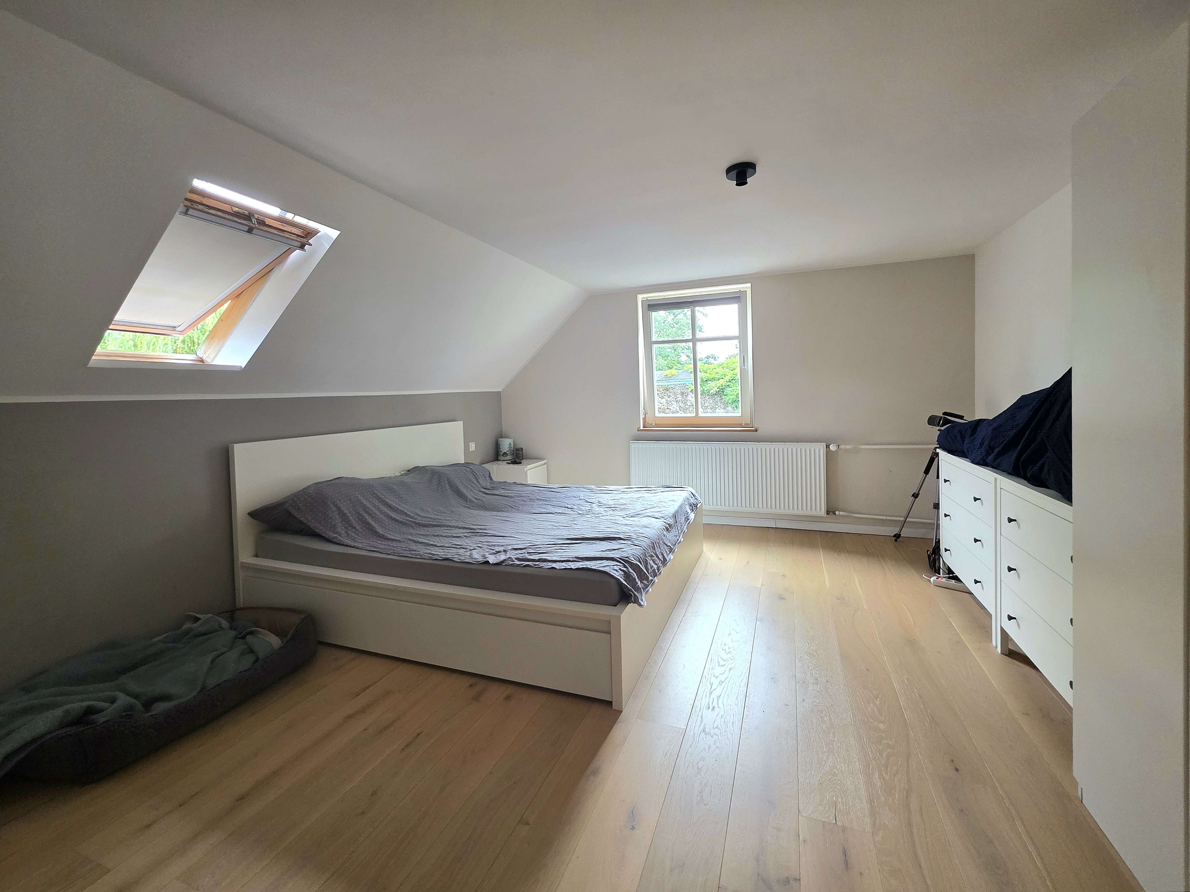 Immobilie in Burg (Spreewald) - Einziehen und Wohlfühlen – Ihr Familienglück  in Burg (Spreewald) - Bild 3