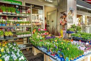 Property thumbnail 13