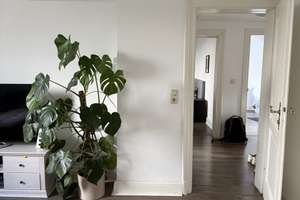 Helle geräumige Dachgeschosswohnung, Nähe Frankenberger Viertel! – Adalbertsteinweg 181, 52066 Adalbertsteinweg, Aachen – Vorschaubild 3