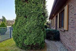 Property thumbnail 22