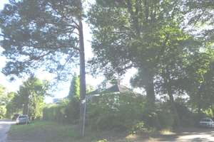 Traumhaft sonniges und lichtdurchflutetes Terrassenparadies mit Gartenblick! – Hofjägerallee 10, 13465 Frohnau, Berlin – Vorschaubild 29