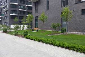 Für Studenten und Azubis: 1-Zimmer-Appartement mit Balkon und Küche in Berlin-Mitte – Alex-Wedding-Straße 3, 10178 Mitte (Ortsteil), Berlin – Vorschaubild 1