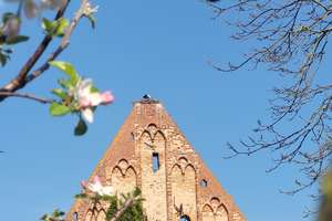 Wassergrundstück! Wunderschönes und komfortables Haus auf der Burg in Kalbe!.  in Kalbe (Milde) – Burg 15, 39624 Kalbe (Milde) – Vorschaubild 18