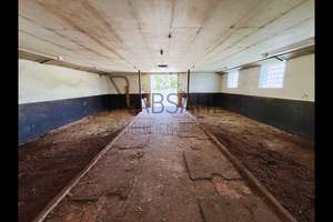Hofensemble mit ausgebauter Tenne und 1,6ha Land direkt am Haus! Genehmigte Pferdehaltung! – Die vollständige Adresse der Immobilie erhältst du vom Anbieter., 27404 Rhade – Vorschaubild 30