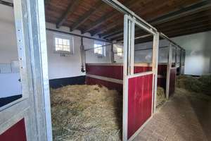 Blankenheim charmantes Fachwerkensemble von 1996 mit 4.462 m² Grundstück und vielseitigen Nutzungsop – Die vollständige Adresse der Immobilie erhältst du vom Anbieter., 53945 Blankenheim – Vorschaubild 14