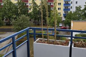 Frisch renovierte 2-Zimmer-Wohnung mit Balkon in Leipzig-Heiterblick – 4329 Heiterblick, Leipzig – Vorschaubild 8