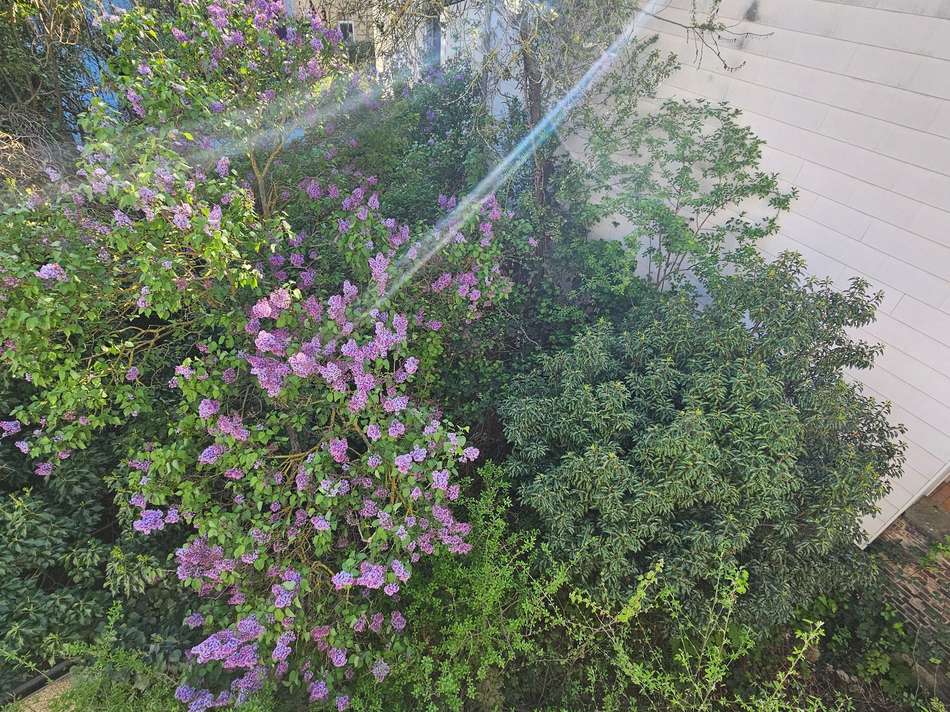 EIGENER GARTEN 2.jpg