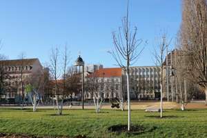 Eigentumswohnung im Herzen von Potsdam – Yorckstr. 19d, 14467 Nördliche Innenstadt, Potsdam – Vorschaubild 5
