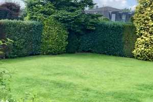 Traumhafte 6-Zimmer-Villa mit EBK und Pool in Heusenstamm – Offenbach (Kreis) – Vorschaubild 2
