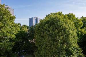 Helle, leerstehende 2-Zimmer-Wohnung in gutem Zustand mit sonnigem Balkon in Frankfurt-Eckenheim – 60435 Eckenheim, Frankfurt am Main – Vorschaubild 8