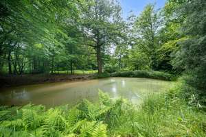 WUNDERSCHÖNER LANDSITZ  IN HAMBURG AM ALSTERLAUF. – Die vollständige Adresse der Immobilie erhältst du vom Anbieter., 22397 Wohldorf-Ohlstedt, Hamburg – Vorschaubild 25