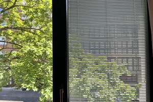 Renovierte 3-Zi-Wohnung mit S/W-Balkon und Parkett in Düsseldorf – Tußmannstr. 70, 40477 Pempelfort, Düsseldorf – Vorschaubild 20