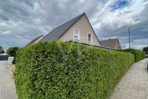 Modernes Einfamilienhaus in begehrter Lage - Ihr neues Zuhause wartet! – Börde (Kreis) – Vorschaubild 7