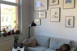 Lage, Lage, Lage! Juwel der Baukunst mit 9 Wohnungen + Ausbaupotential im Östlichen Ringgebiet – Die vollständige Adresse der Immobilie erhältst du vom Anbieter., 38106 Östliches Ringgebiet, Braunschweig – Vorschaubild 26