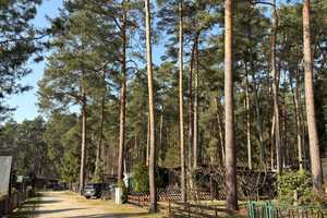 Sommerhaus am See - 60 Minuten von Berlin – Teltow-Fläming (Kreis) – Vorschaubild 40