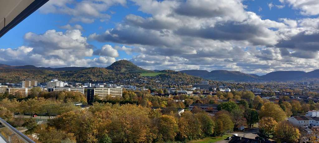 Immobilie in Reutlingen - Lichtdurchflutete 4-Zi.Whg. mit spektakulärer Aussicht - Bild 2