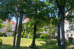 Property thumbnail 7