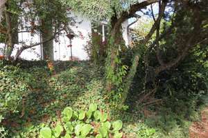 2-Generationenhaus, kernsaniert nach KFW 70, mit Garten, Garage und Stellplätze wartet auf Sie! – 65329 Hohenstein – Vorschaubild 23
