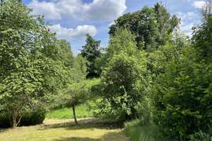 Einmalige Gelegenheit in Toplage von Tambach-Dietharz – Friedrich-Hörchner-Straße 33, 99897 Tambach-Dietharz/Thüringer Wald – Vorschaubild 7