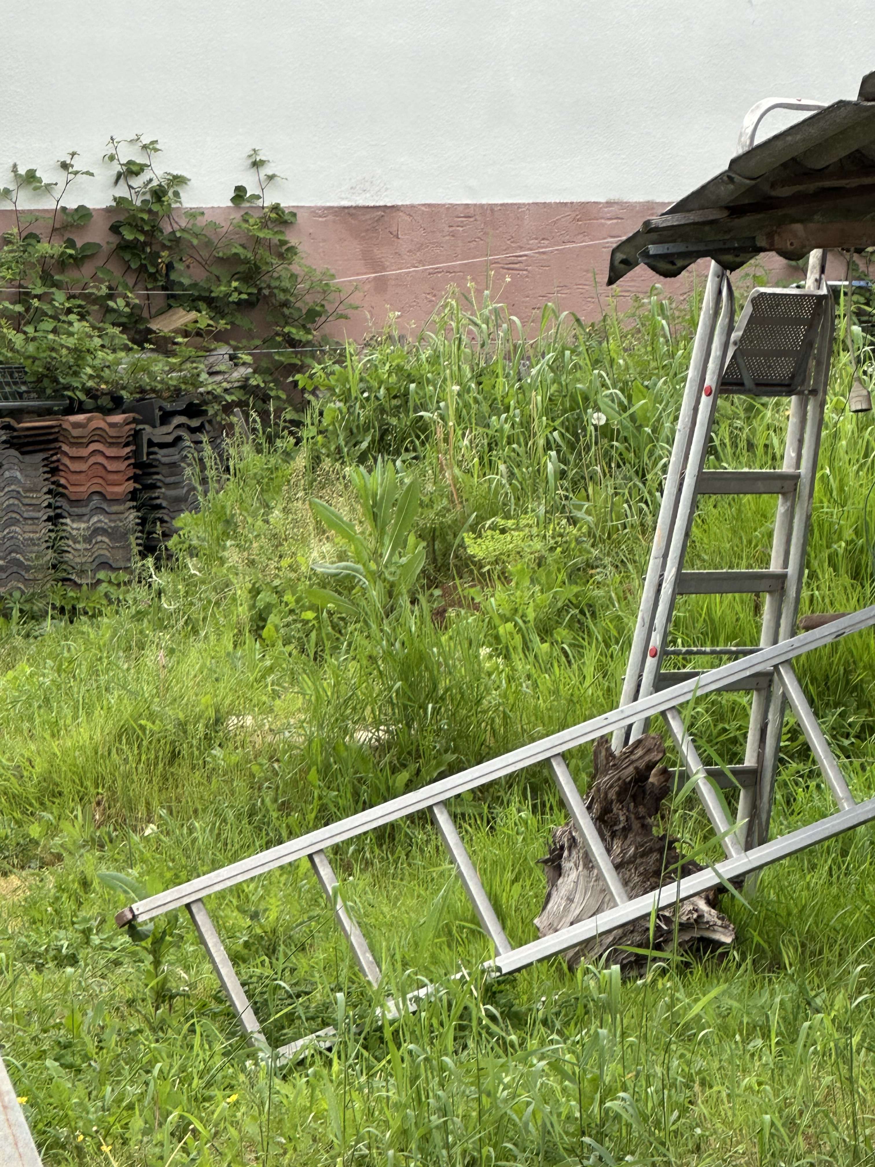 Abrissgrundstück in toller Lage direkt am Feld, Odenwaldkreis – Bild 4