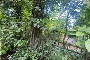 Bad Wimpfen, Nähe Friedhof, großes Grundstück, älteres renovierungsbedürftiges EFH – Rappenauerstraße 39, 74206 Heilbronn (Kreis) – Vorschaubild 53