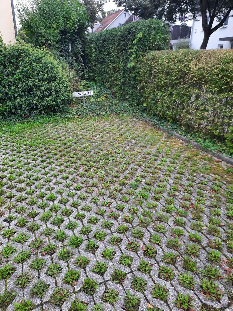 Immobilie in Bad Abbach - Ruhige 2-Zimmer-Terrassenwohnung in Bad Abbach - Bild 4