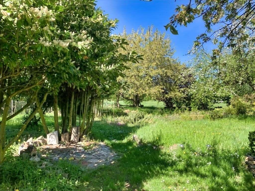 Immobilie in Gondershausen - Granddame sucht junge Liebhaber! - Bild 4