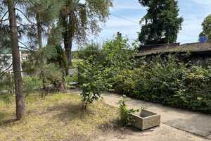 Ehemaliger Obsthof in Plessow – An der B1 13, 14542 Potsdam-Mittelmark (Kreis) – Vorschaubild 3