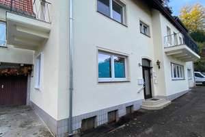 Hochwertig renovierte und möblierte 2-ZKB mit EBK, Terrasse + Garage – Winterbergstraße 20a, 66119 Sankt Arnual, Saarbrücken – Vorschaubild 13