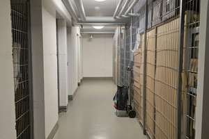 Neue 3-Zimmer-Wohnung mit Fußbodenheizung in Bochum – Die vollständige Adresse der Immobilie erhältst du vom Anbieter., 44892 Langendreer/Alter Bahnhof, Bochum – Vorschaubild 25