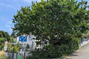 Modernisiertes EFH mit Einliegerwohnung, aufwändiger Gartenanlage und Fernsicht in Ruhelage! – Die vollständige Adresse der Immobilie erhältst du vom Anbieter., 65232 Taunusstein – Vorschaubild 63