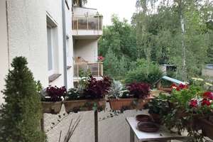 Vier-Zimmer-Wohnung in der Teltower Vorstadt  – Kunersdorfer Straße 22a, 14473 Teltower Vorstadt, Potsdam – Vorschaubild 5