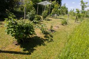 Energieeffiziente Familienoase mit großem Garten in Westheim – Die vollständige Adresse der Immobilie erhältst du vom Anbieter., 67368 Westheim (Pfalz) – Vorschaubild 17