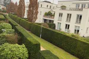 Property thumbnail 12