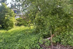 ***Unterhalb des beliebten Musikerviertels*** Großes Wohnhaus auf 618 m² Grundstück
 – Die vollständige Adresse der Immobilie erhältst du vom Anbieter., 33604 Mitte, Bielefeld – Vorschaubild 4