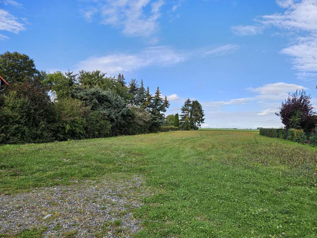 Immobilie in Cramme - Ein Bungalow, der begeistert im kommenden Baugebiet in Cramme. - Bild 3