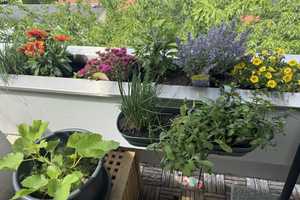 Property thumbnail 11