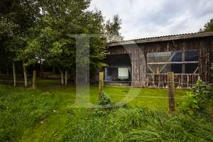 Platz für Familie, Garten & Träume – modernisiertes Haus mit viel Freiraum – Die vollständige Adresse der Immobilie erhältst du vom Anbieter., 26487 Neuschoo – Vorschaubild 22