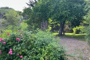 Wohnhaus mit vielseitig nutzbarem Anbau und Blick zum Belchen – Die vollständige Adresse der Immobilie erhältst du vom Anbieter., 79692 Elbenschwand – Vorschaubild 33
