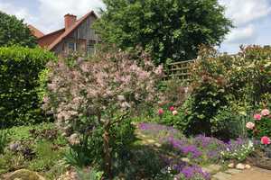 Familienfreundliches Haus in idyllischer Lage direkt an der Braunschweiger Stadtgrenze – Gifhorn (Kreis) – Vorschaubild 4