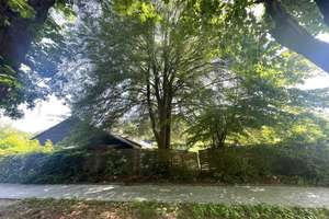 Barrierefreier modernisierter Bungalow mit Wintergarten in Nürnberg-Langwasser! – Die vollständige Adresse der Immobilie erhältst du vom Anbieter., 90473 Langwasser Südost, Nürnberg – Vorschaubild 56