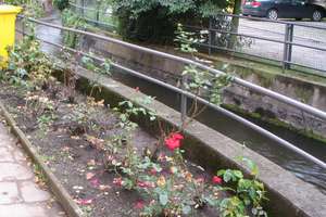 Ausbaubares Dachgeschoß mit alleinigem Garten am Bach/Stellplätze--EIN TRAUM mitten in Oberhausen – Die vollständige Adresse der Immobilie erhältst du vom Anbieter., 86156 Links der Wertach-Süd, Augsburg – Vorschaubild 6
