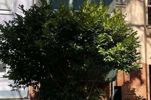 Perfekt für Familien und Wohngemeinschaften * Wintergarten * große Küche – Wörlitzer Straße 6 1. OG links, 4129 Eutritzsch, Leipzig – Vorschaubild 18
