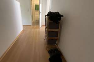 Nachmieter gesucht für 2-Zimmer-Wohnung in Düsseldorf-Golzheim – Seydlitzstraße 10, 40476 Golzheim, Düsseldorf – Vorschaubild 2