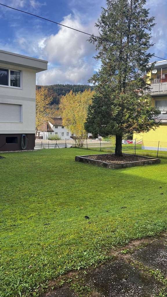 Immobilie in Eberbach - REDUZIERT! Schöne 3-Zimmerwohnung mit Stellplatz in Ruhiger Lage... - Bild 0
