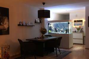 Gepflegtes Reihenmittelhaus mit Garten, Einbauküche, Vollkeller und Garage in Leverkusen-Hitdorf – Lohrstr. 90a, 51371 Hitdorf, Leverkusen – Vorschaubild 6