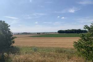 Sehr schönes freistehendes Fertighaus mit parkähnlichem Garten in bevorzugter Wohngegend – Die vollständige Adresse der Immobilie erhältst du vom Anbieter., 67550 Ibersheim, Worms – Vorschaubild 51