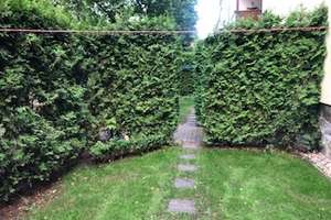 Property thumbnail 16