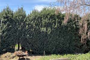 Traumhaftes Sonnengrundstück in Hanglage am Dorfrand von Starbach mit Weitsicht – Rüsseiner Str. 16, 1683 Ketzerbachtal – Vorschaubild 16