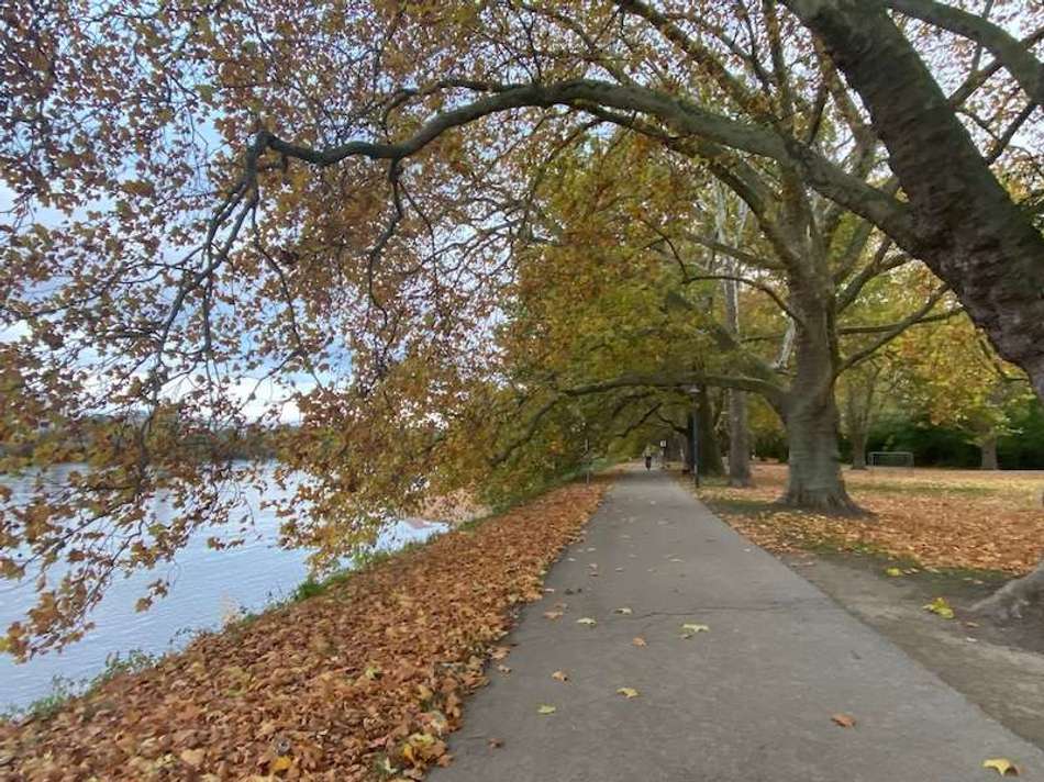 Parkinsel in der Nähe